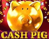 Cash Pig